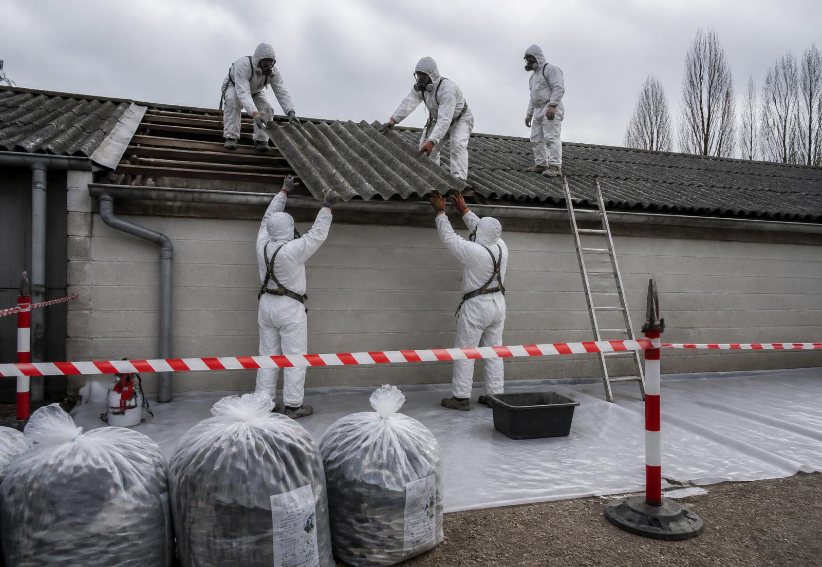 Werknemers in witte hazmat-pakken verwijderen asbestplaten van dak